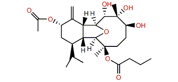 Krempfielin A